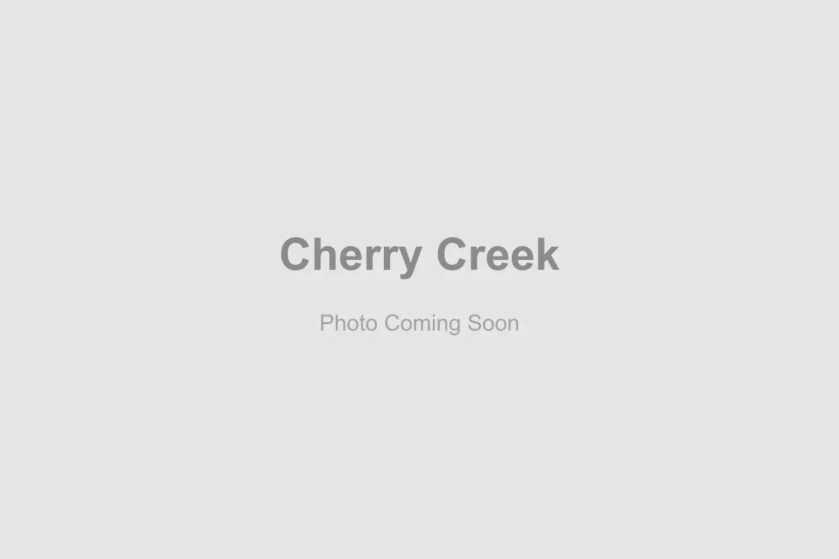 The upscale outdoor shopping district and luxury real estate in Cherry Creek North, Denver
