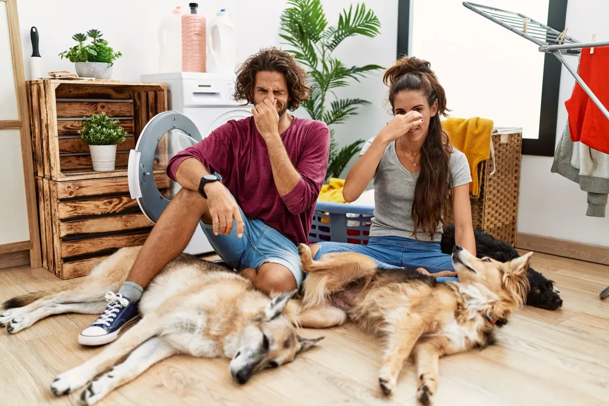 5 Things Buyers Notice That Sellers Often Miss
