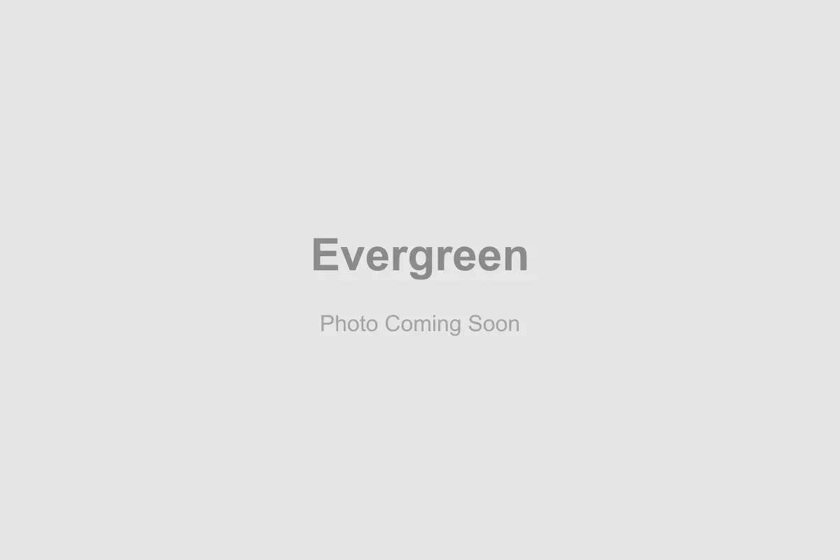 The scenic Evergreen Lake house and surrounding ponderosa pine forests in Evergreen, Colorado
