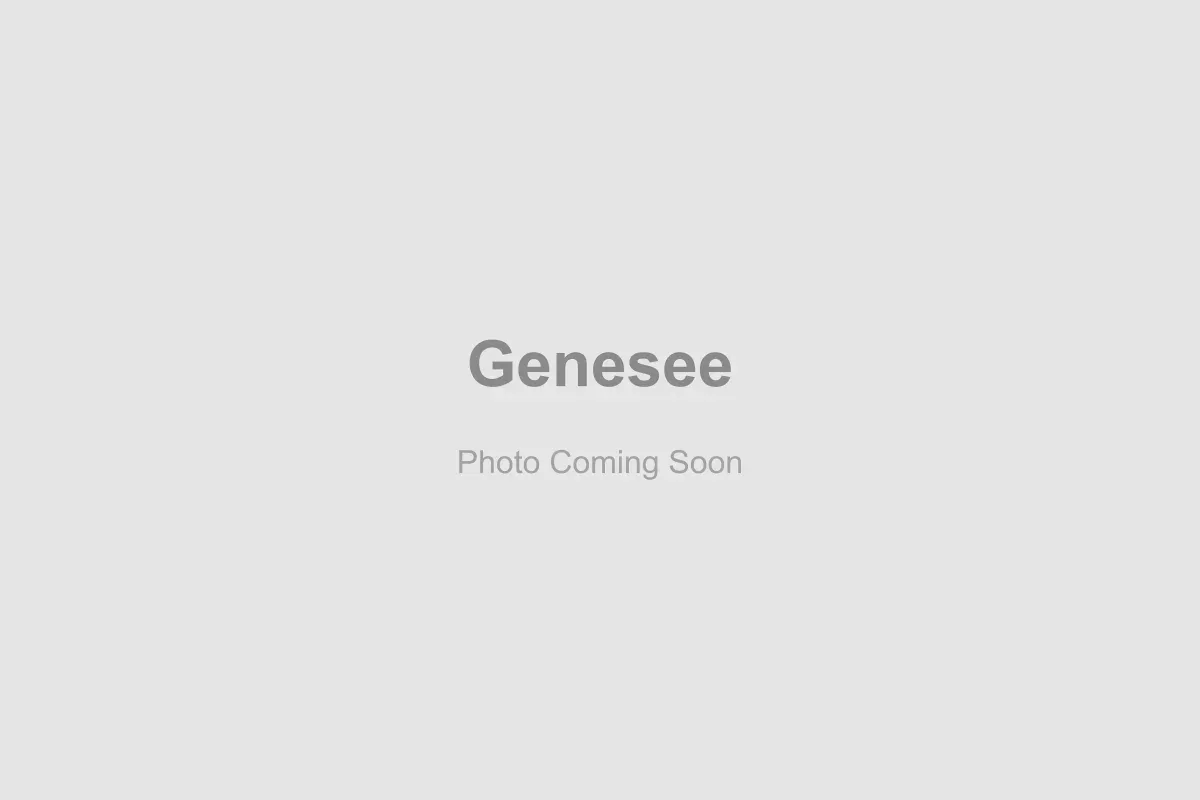 The scenic mountain estates and ponderosa pine forests in Genesee, Colorado