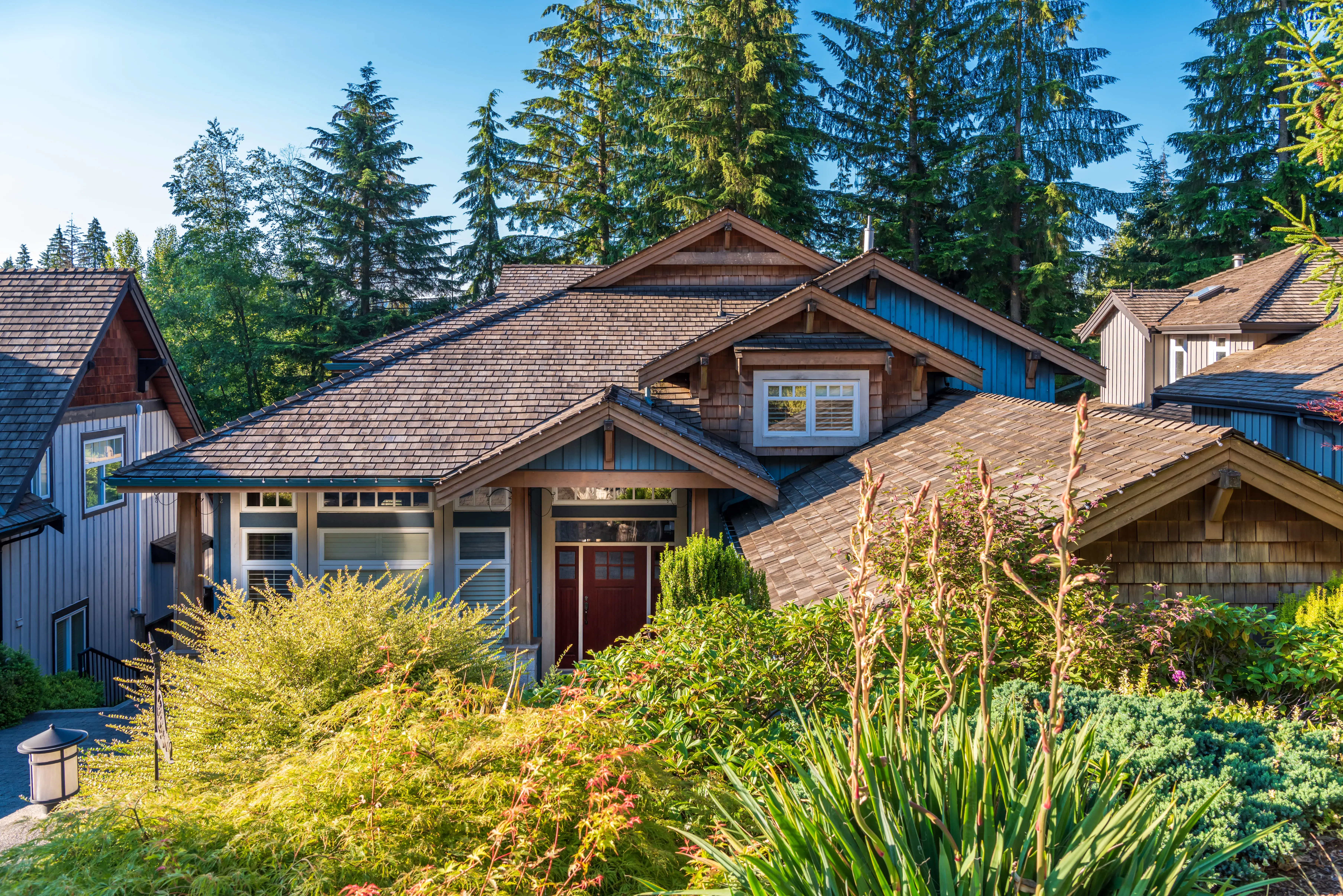 Craftsman-style homes surrounded by tall evergreens and lush summer gardens